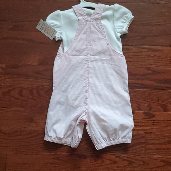 Carter's bunny overall set - Picture 4 of 5